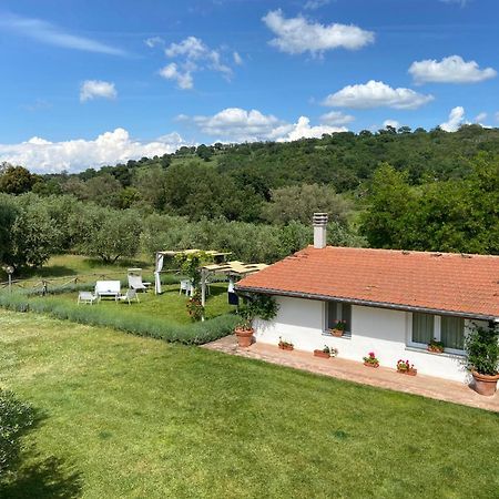Tenuta Le Mandorlaie, Agriturismo In Scansano Dış mekan fotoğraf