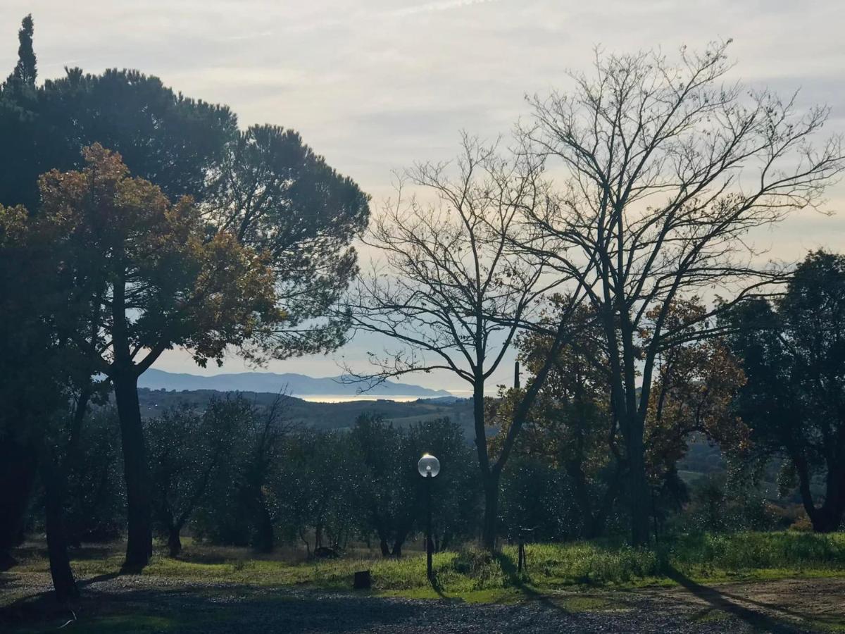 Tenuta Le Mandorlaie, Agriturismo In Scansano Dış mekan fotoğraf