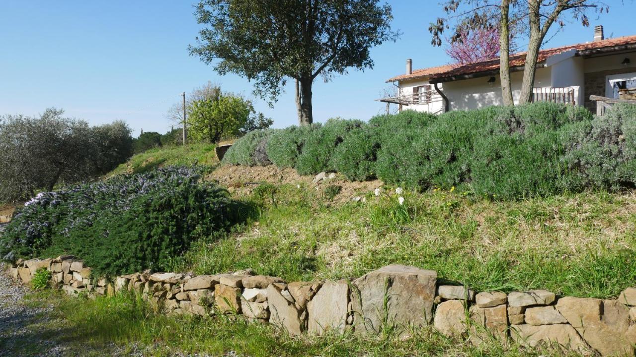 Tenuta Le Mandorlaie, Agriturismo In Scansano Dış mekan fotoğraf