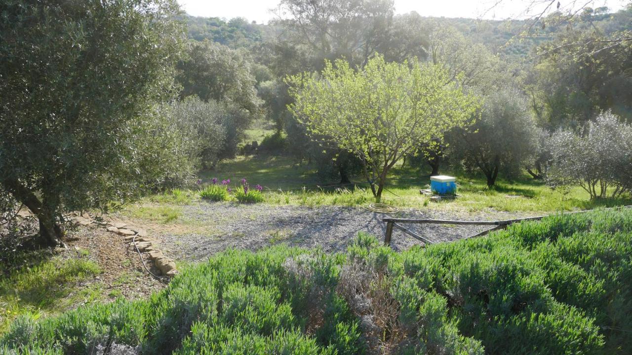Tenuta Le Mandorlaie, Agriturismo In Scansano Dış mekan fotoğraf