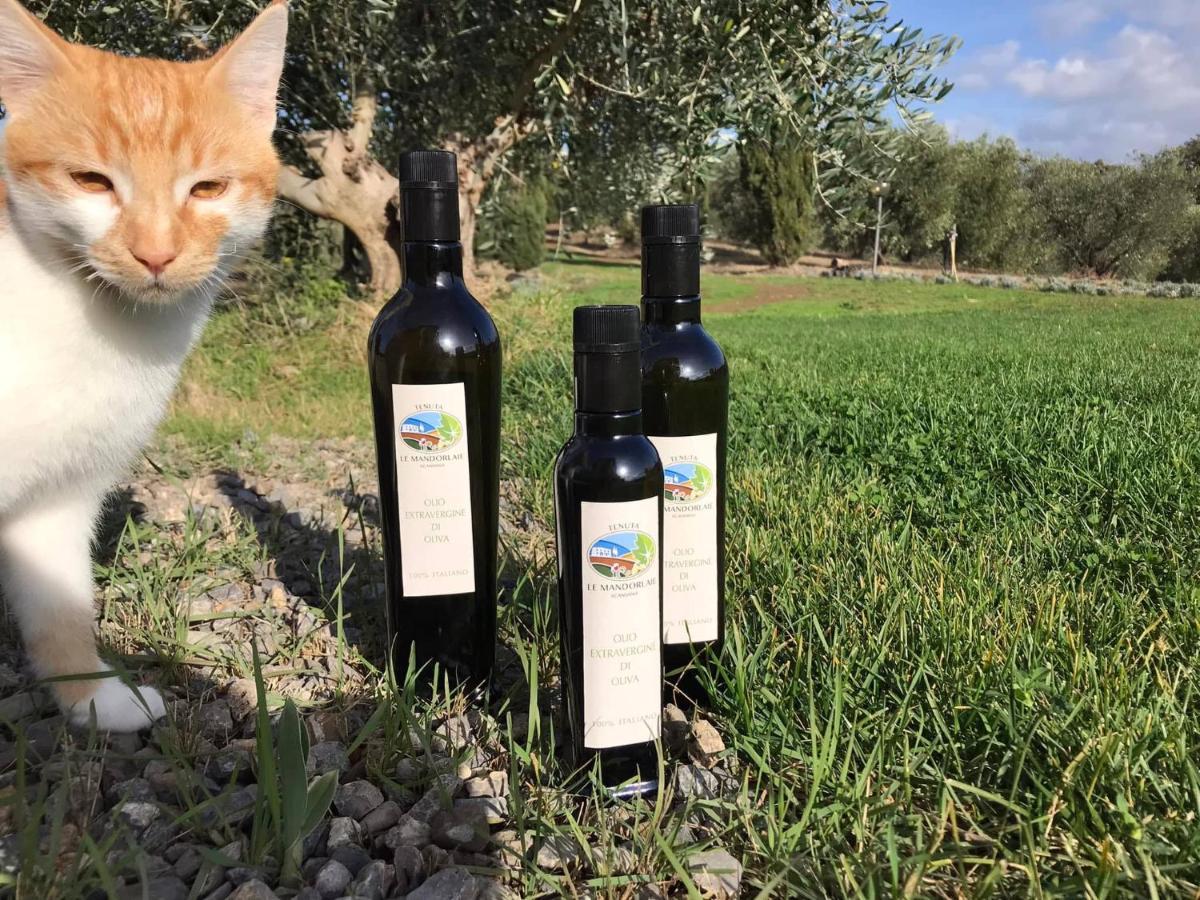 Tenuta Le Mandorlaie, Agriturismo In Scansano Dış mekan fotoğraf