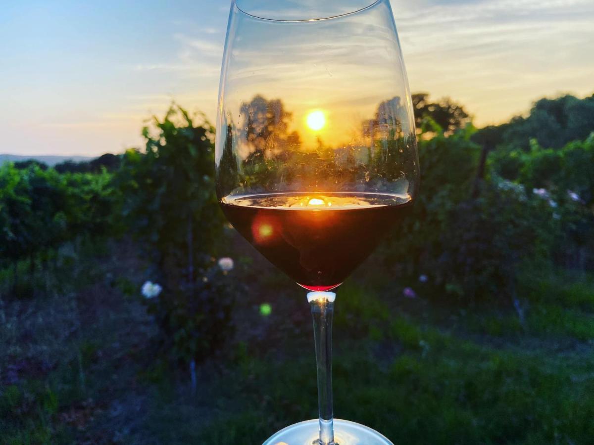 Tenuta Le Mandorlaie, Agriturismo In Scansano Dış mekan fotoğraf