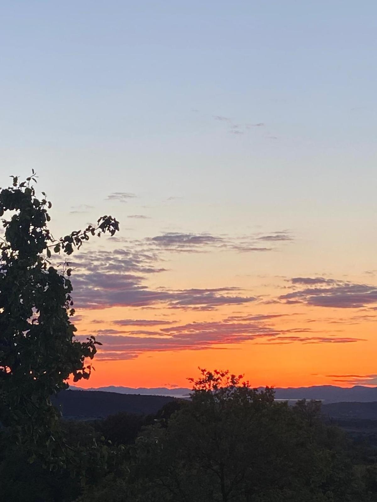 Tenuta Le Mandorlaie, Agriturismo In Scansano Dış mekan fotoğraf