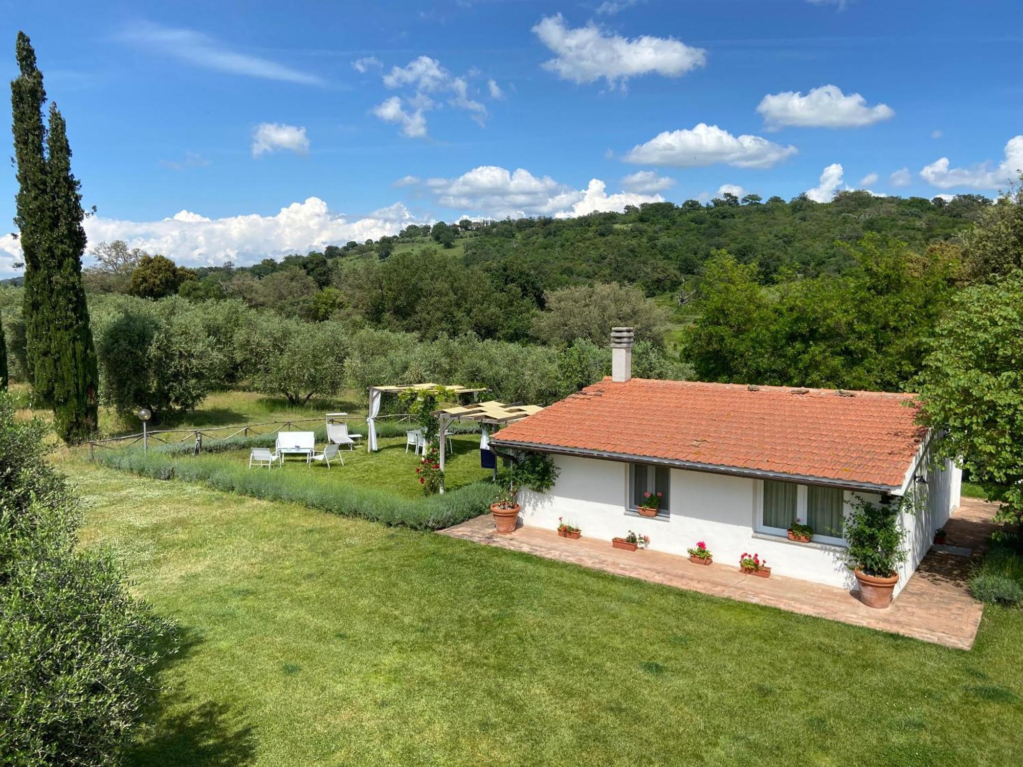Tenuta Le Mandorlaie, Agriturismo In Scansano Dış mekan fotoğraf