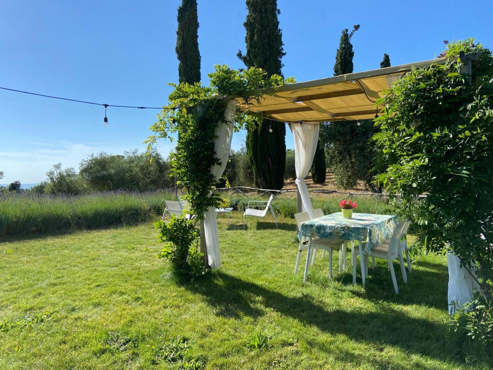 Tenuta Le Mandorlaie, Agriturismo In Scansano Dış mekan fotoğraf