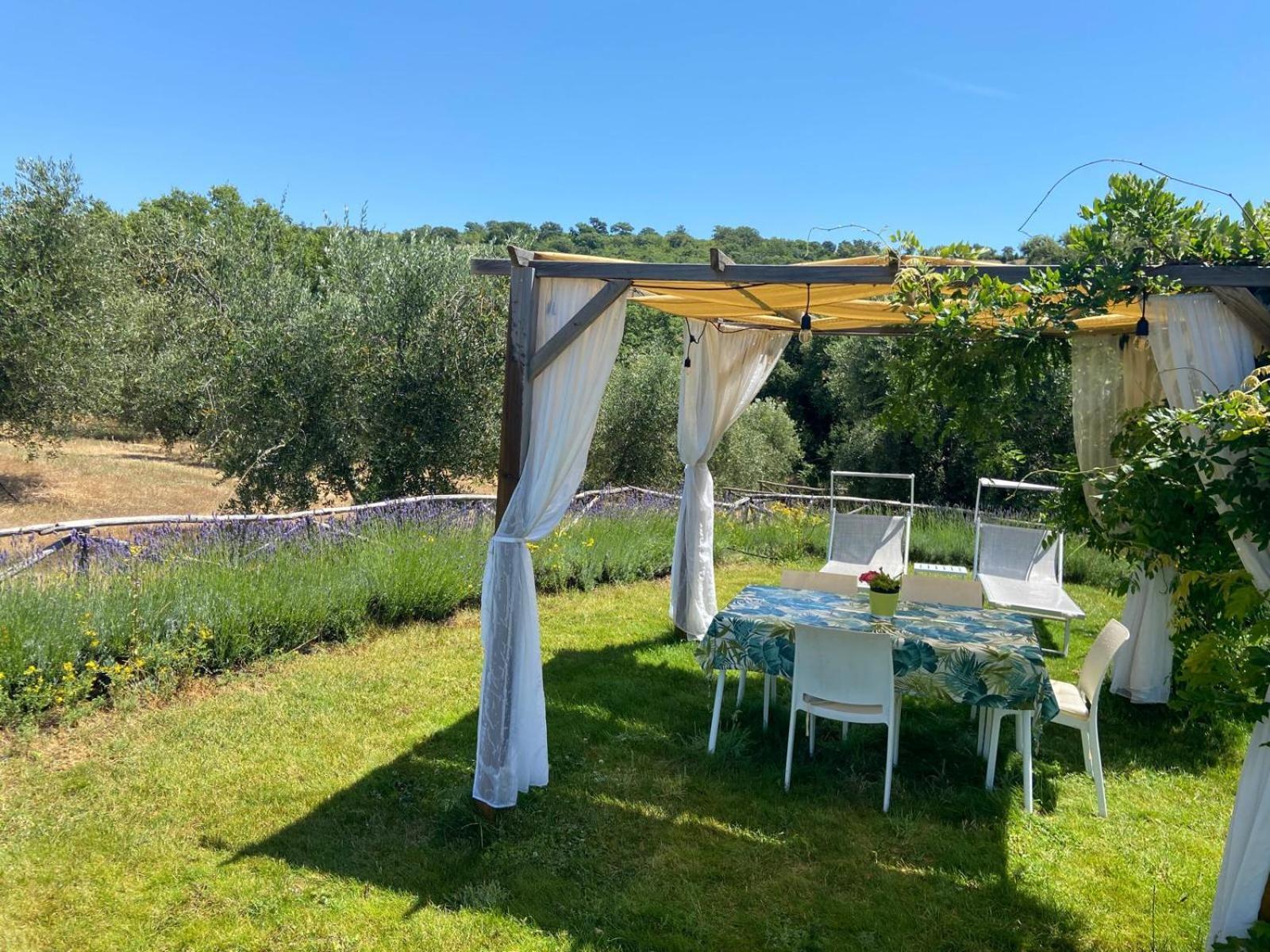 Tenuta Le Mandorlaie, Agriturismo In Scansano Dış mekan fotoğraf