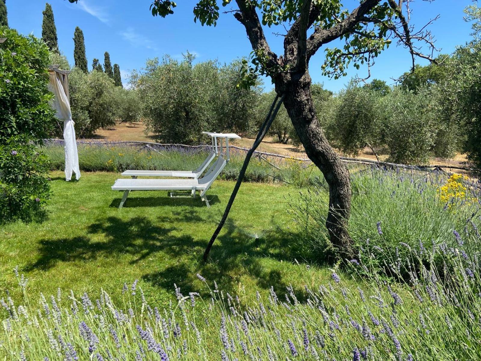 Tenuta Le Mandorlaie, Agriturismo In Scansano Dış mekan fotoğraf